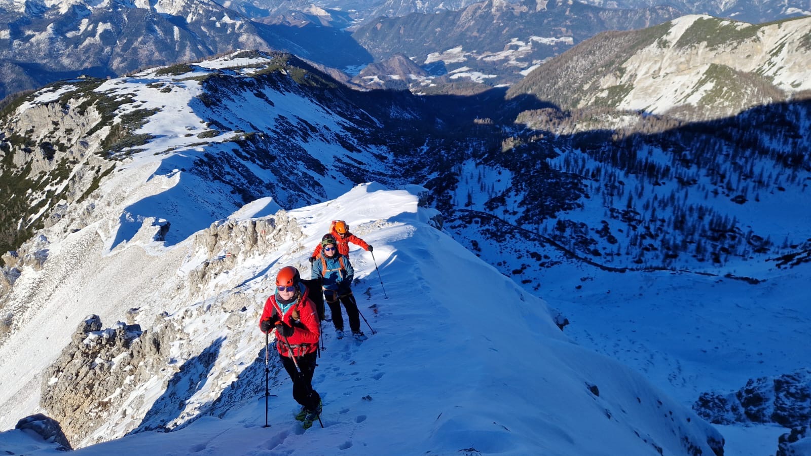 834585d4-6979-49bd-8f0c-737289a3f2c2