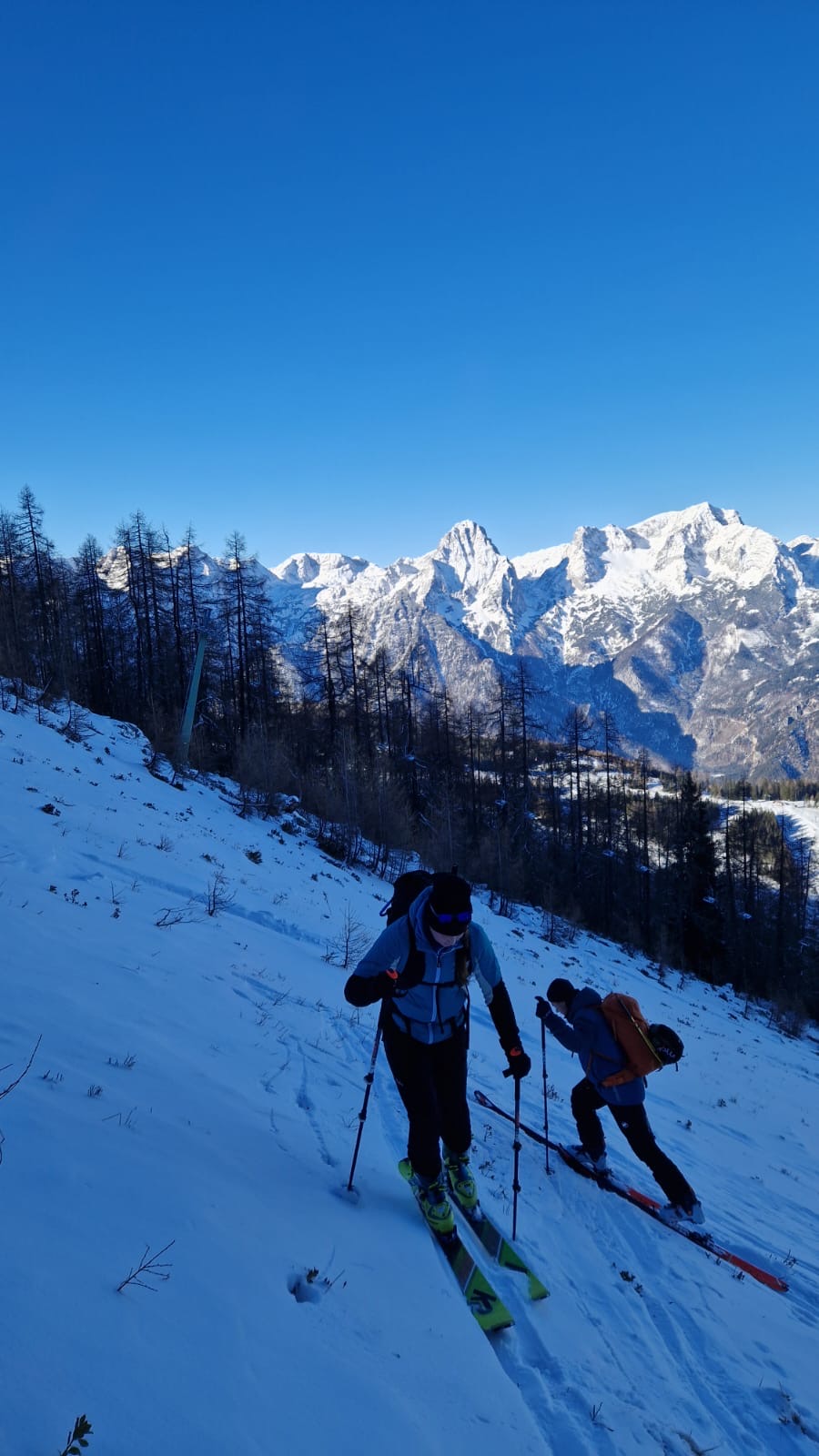 d29ce6a4-cbc5-4085-927f-451f201b8cb1